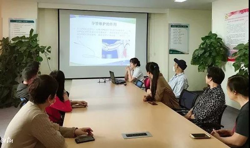 站群软件:重塑互联网营销生态的力量